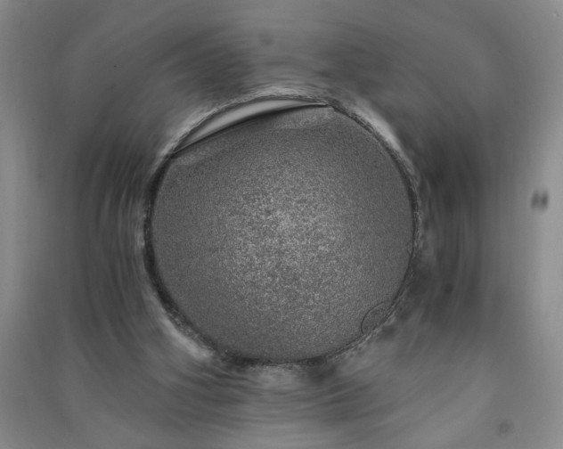 X0000091360106200708171532
