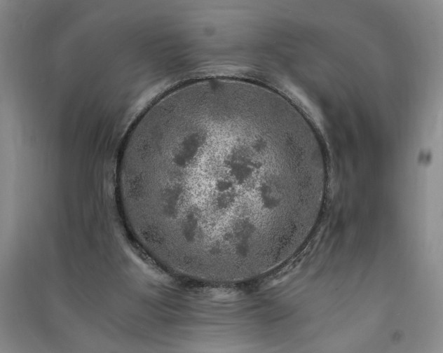 X0000091360107200708171532