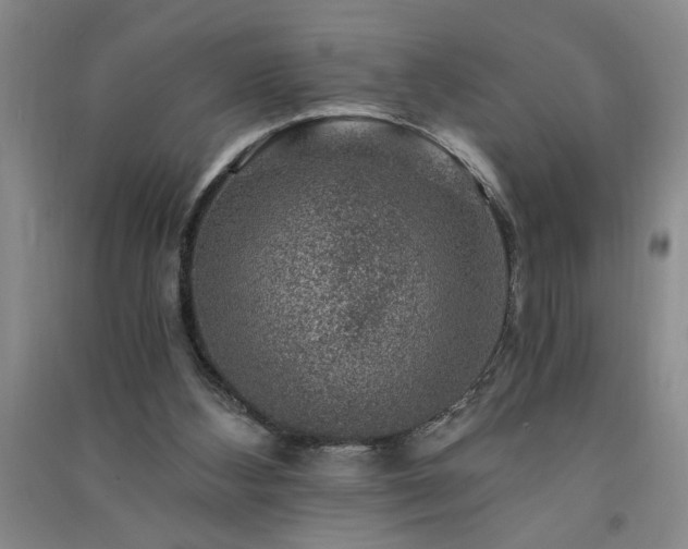 X0000091360108200708171532