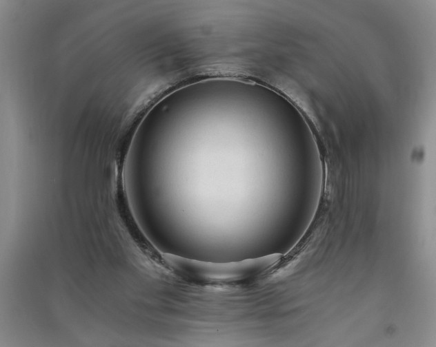 X0000091360109200708171532