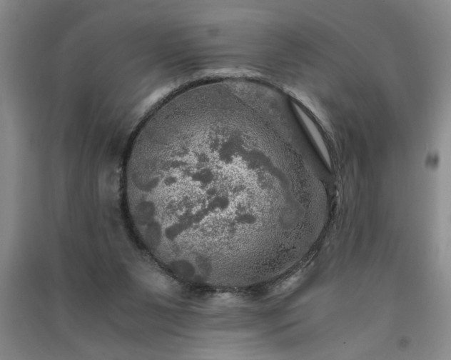 X0000091360111200708171532