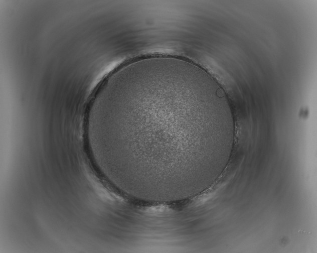 X0000091360112200708171532