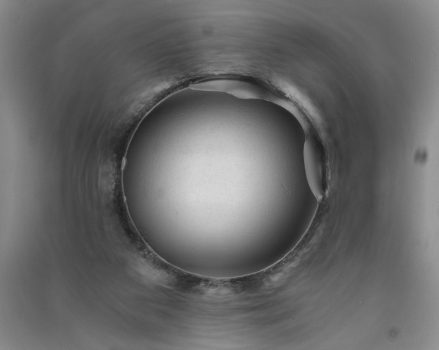 X0000091360113200708171532