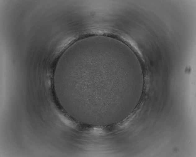 X0000091360114200708171532