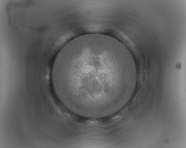 X0000091360115200708171532