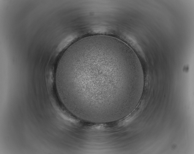 X0000091360116200708171532