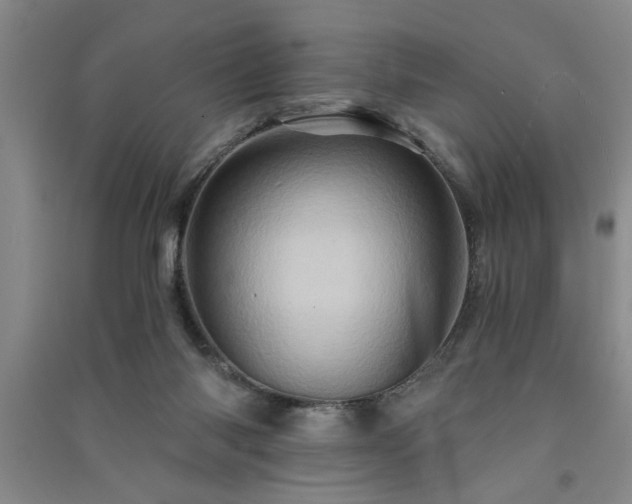 X0000091360118200708171532