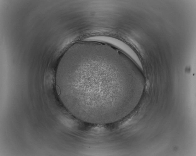 X0000091360119200708171532