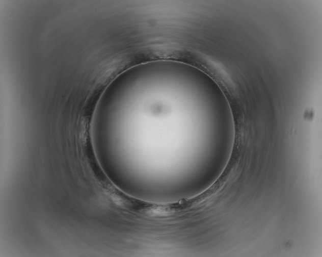 X0000091360121200708171532