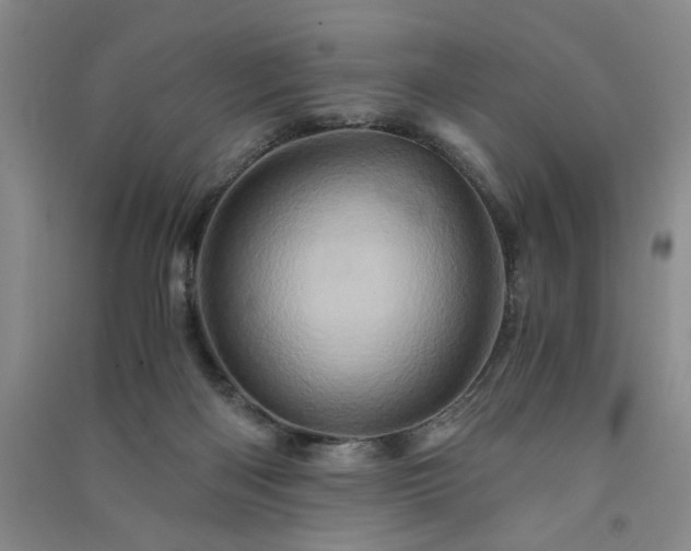 X0000091360122200708171532