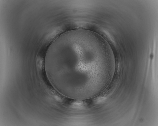X0000091360123200708171532