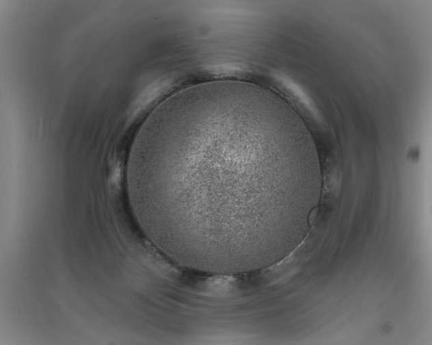 X0000091360124200708171532