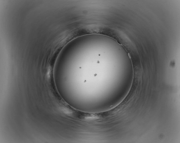 X0000091360125200708171532