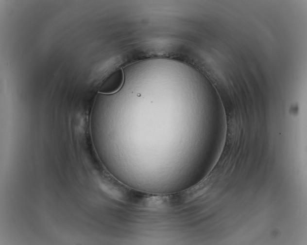 X0000091360126200708171532