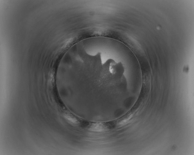 X0000091360127200708171532