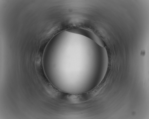 X0000091360129200708171532