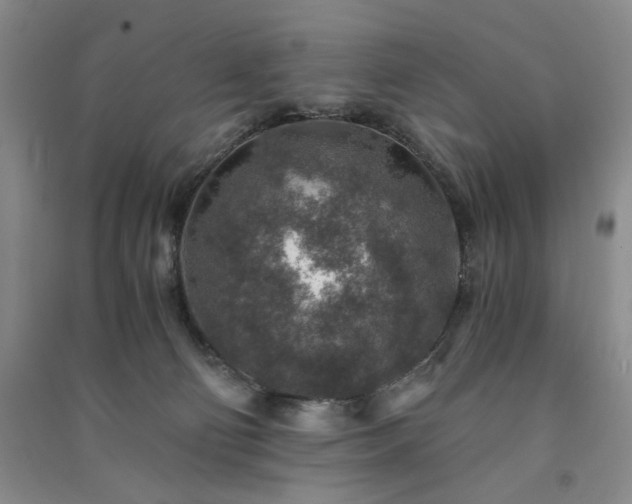 X0000091360130200708171532