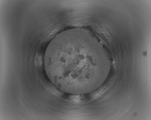 X0000091360131200708171532