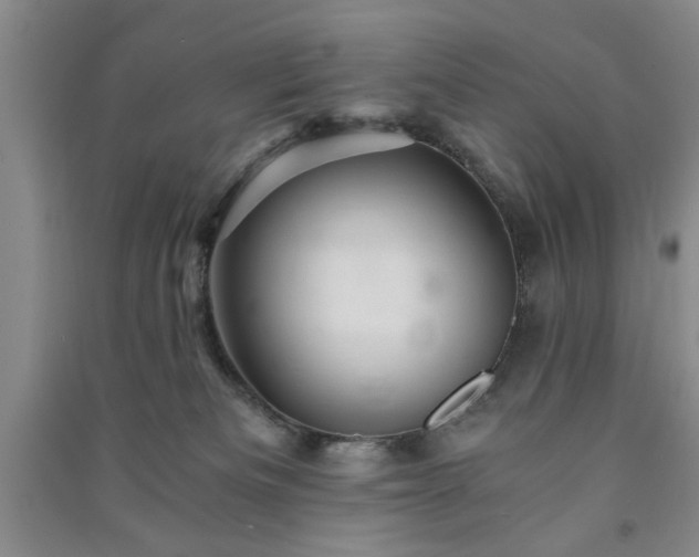 X0000091360133200708171532