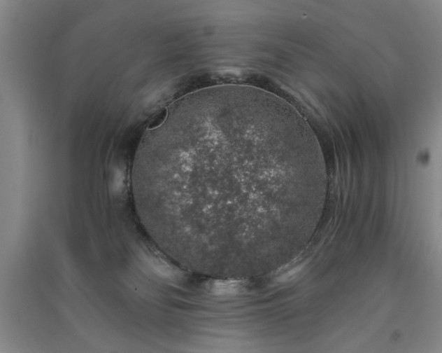 X0000091360134200708171532