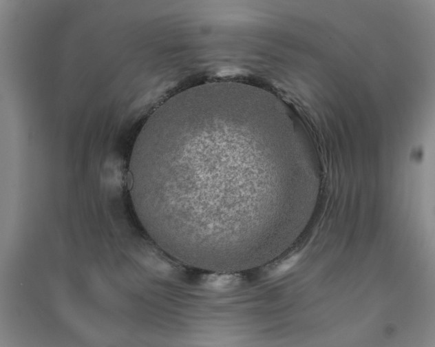 X0000091360135200708171531
