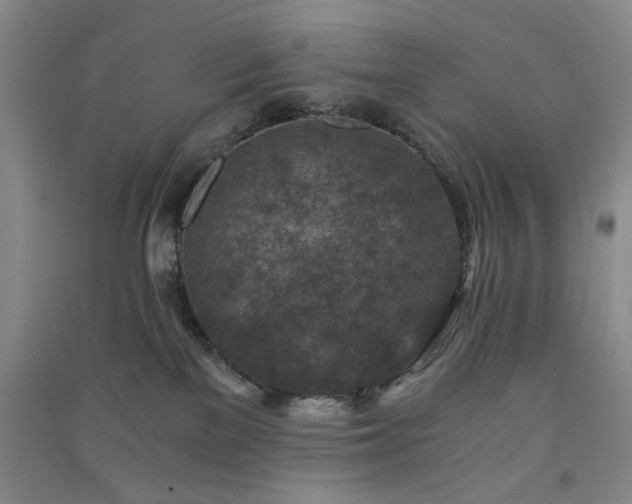 X0000091360137200708171531