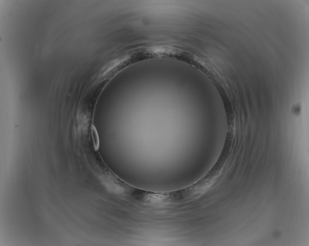 X0000091360139200708171531