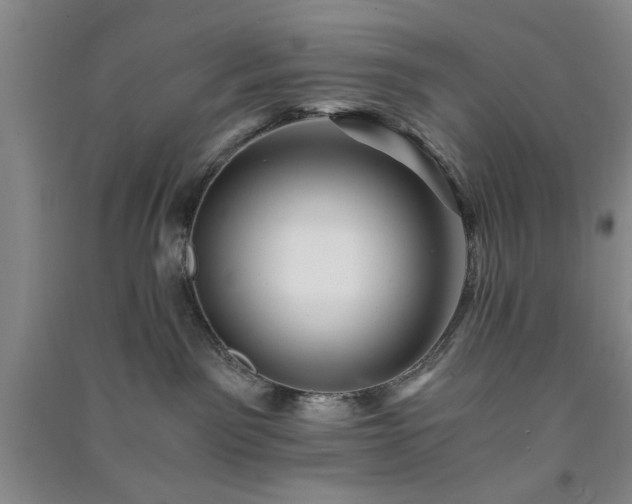 X0000091360141200708171531
