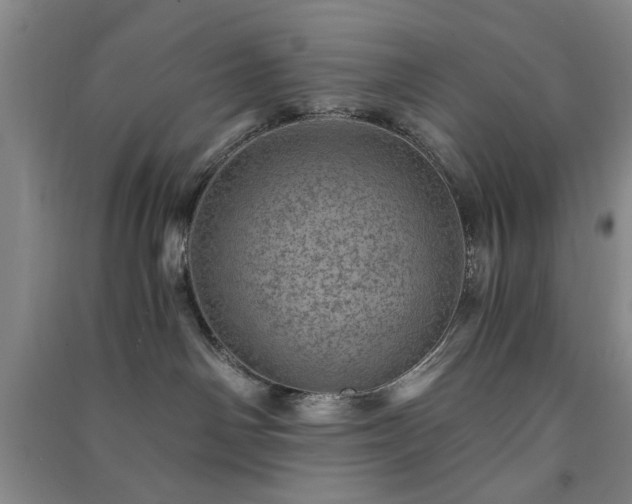 X0000091360142200708171531