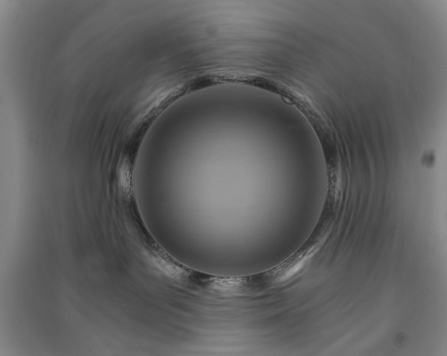 X0000091360143200708171531