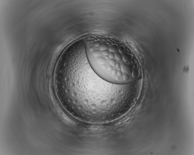 X0000091360145200708171531