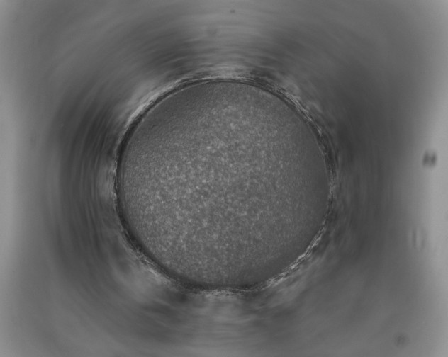 X0000091360146200708171531