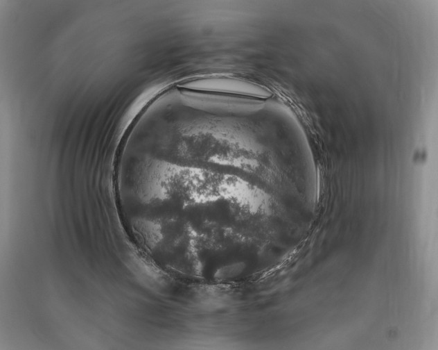 X0000091360147200708171531