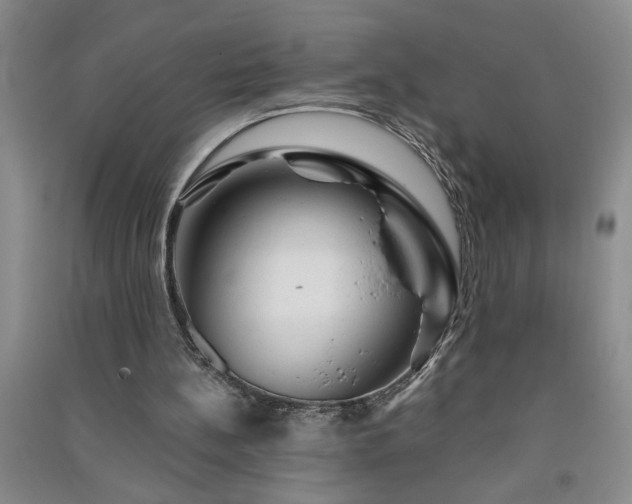 X0000091360148200708171531