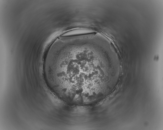 X0000091360149200708171531