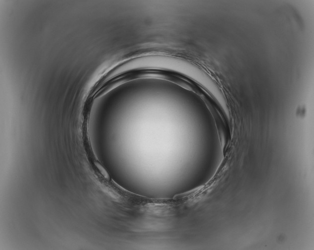 X0000091360150200708171531