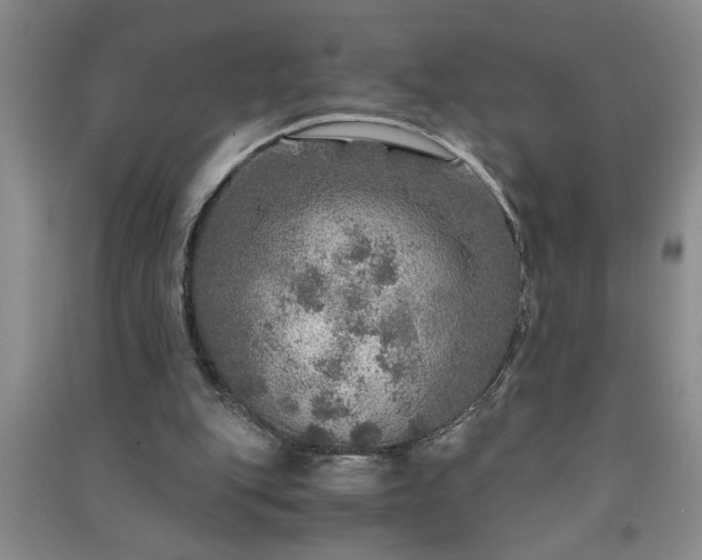 X0000091360151200708171531