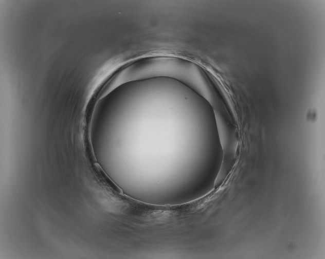 X0000091360152200708171531