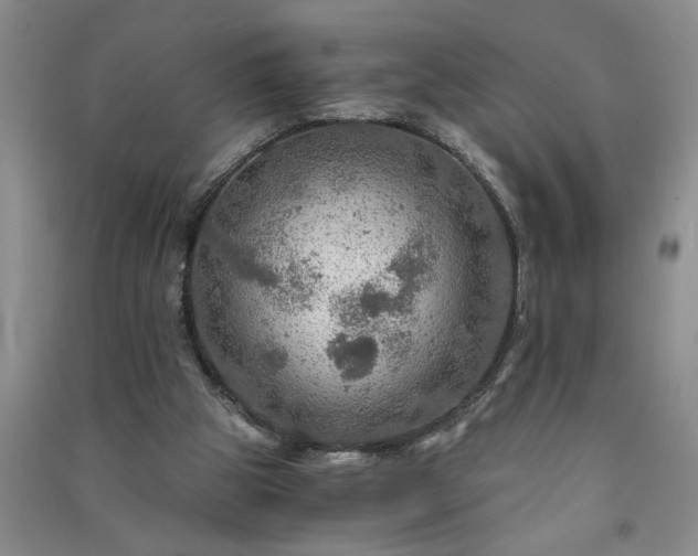 X0000091360153200708171531