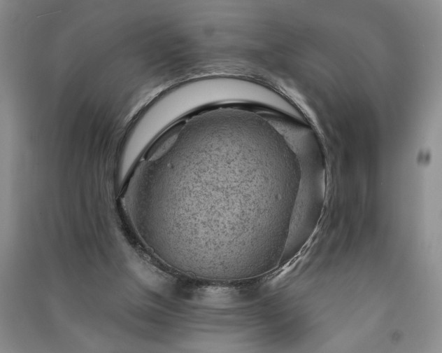 X0000091360154200708171531