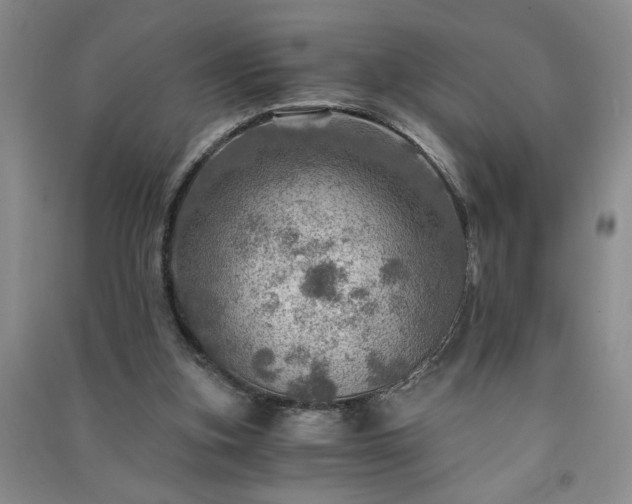 X0000091360155200708171531