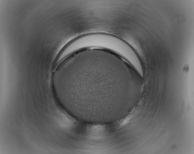 X0000091360156200708171531