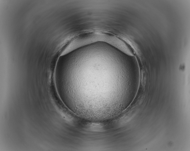 X0000091360157200708171531