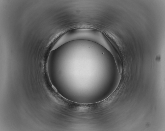 X0000091360158200708171531