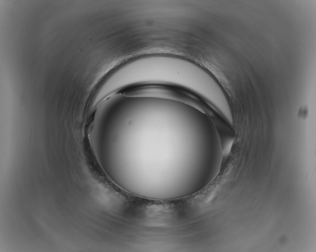 X0000091360160200708171531