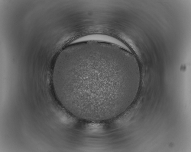 X0000091360161200708171531