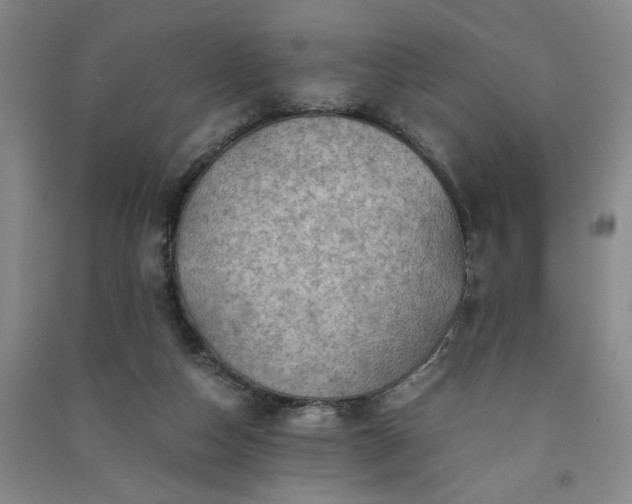 X0000091360162200708171531