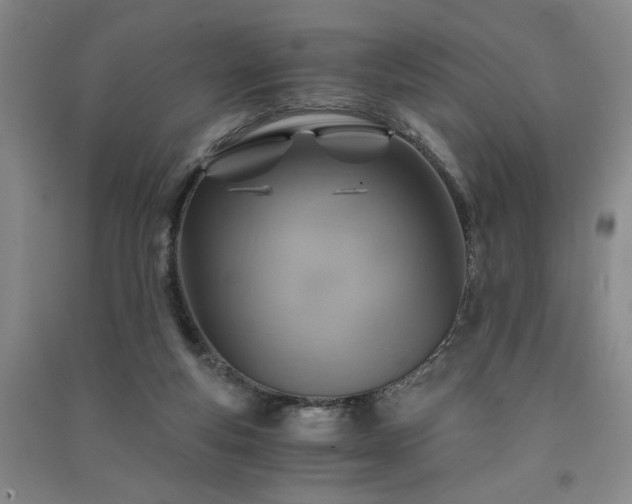 X0000091360163200708171531