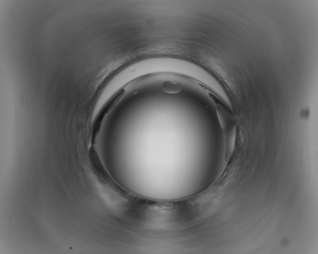 X0000091360164200708171531