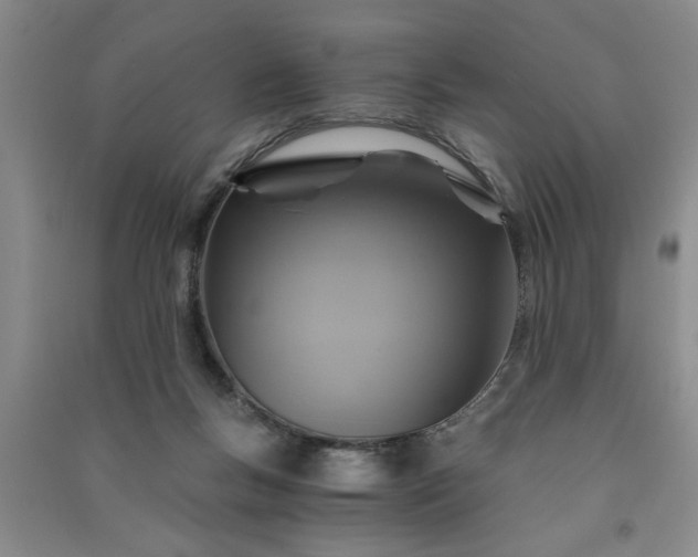 X0000091360167200708171531